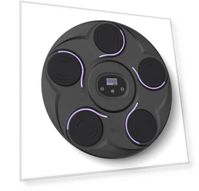 Smart Musical Boxing Target — Boxing Training Gear, Binchi Outdoor Equipment