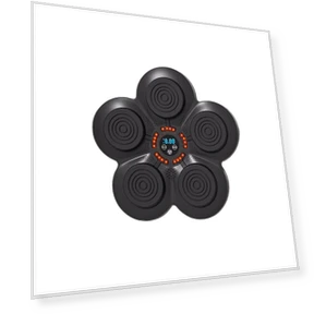 Smart Musical Boxing Target — Boxing Training Gear, Binchi Keji Travel