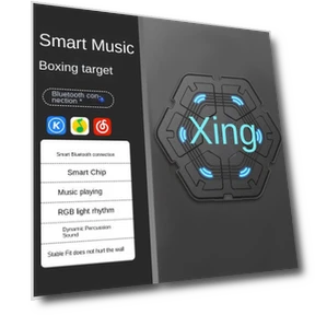 Smart Musical Boxing Trainer — Boxing Training Gear, Binchi Outdoor Equipment