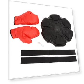 Smart Musical Boxing Trainer — Boxing Training Gear, Wosawe outdoor sports