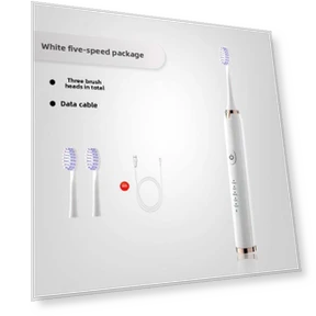 Smart Soft Electric Toothbrush — Electric Toothbrush Heads, Binchi Health Technology