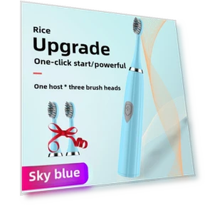Smart Sonic Electric Toothbrush Pair — Sonic Electric Toothbrushes, Binchi Health Technology