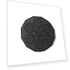 Smart Wall Target — Boxing Training Gear, Binchi Keji Travel