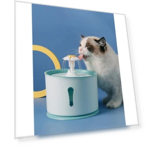 Smart Water Dispenser with Automatic Circulation Filtration and Drinking Bowl — Pet Hydration Solutions, Smart Pet Supplies