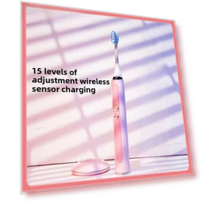 Soft Bristle Electric Toothbrush — Chargers, Binchi Health Technology