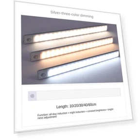 Thin Human Body Induction Strip — LED Strips, Binchi Lighting Appliances