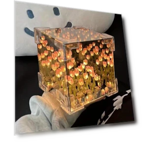 Tulip Night Light Kit — Night Lights, JR-Studio