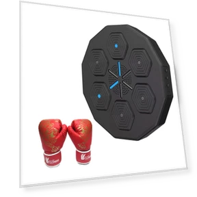 Wall-mounted Musical Boxing Trainer — Boxing Training Gear, Binchi Keji Travel