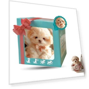 AI Emotional Recognition Robotic Pet Puppy — Cameras & Monitors, hayatospeed