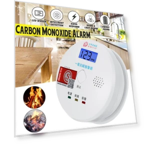 Smart CO Gas Smoke Sensor Detector — Gas & CO Detectors, Ideal World