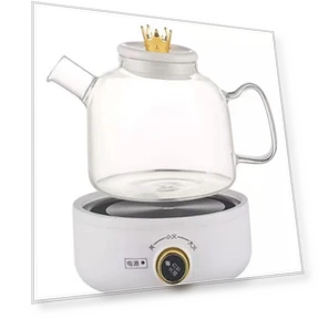 Multifunctional Health Kettle — Kettles & Tea Machines, Crown Global