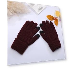 Thickened Gloves for Cycling with Touchscreen — Gloves, CrestLink