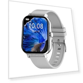 Smart Watch — Smartwatches, the BAY
