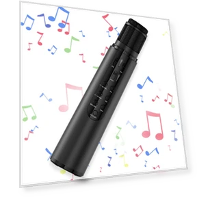 Karaoke Microphone with Bluetooth Speaker — Phone Accessories, HAYAO