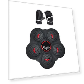Musical Boxing Trainer — Boxing Training Gear, HappyToy