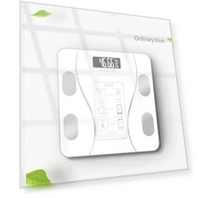 Smart Body Scale — Weight Management Tools, Essager Electronic