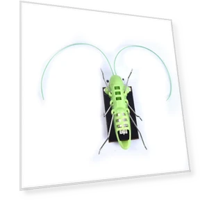 Solar Powered Grasshopper Robot Toy — Solar Power, zingy