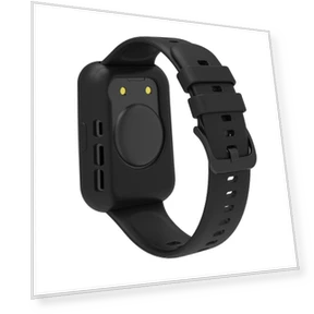 Silicone Strap with Protective Case — Smartwatches, Huawei