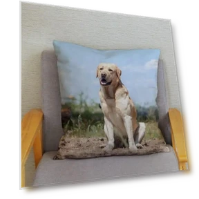 Smart Labrador Retriever Pillow Cover — Pillow Covers, zheyu