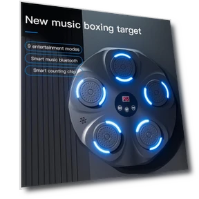 Smart Music Boxing Trainer — Boxing Training Gear, Booster boluojun