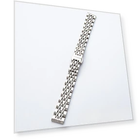 Smart Watch Band — Wearable Accessories, PINSENDA