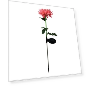 Solar Light LED Chrysanthemum Flower Garden Light — Garden Illumination, Smart Mouse