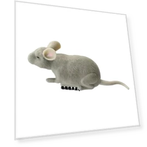 Electric Mouse Toy for Cats — Mice & Animals, JUN JUN