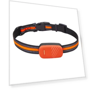 GPS Pet Tracker Collar — Trackers, zhenmiaoxiang