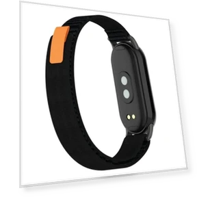 Nylon Strap — Fitness Bands, LUJING-Treasure Bag