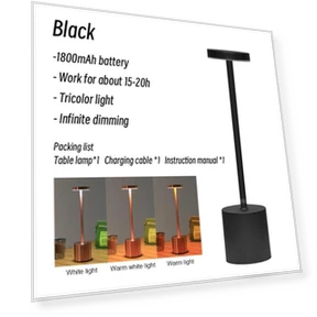 Rechargeable Touch LED Desk Lamp — Study & Desk Lighting, YWZT Decorative lights