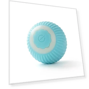 Automatic Rolling Ball with Fake Tail — Interactive Animal Companions, Diana Pet Stuff