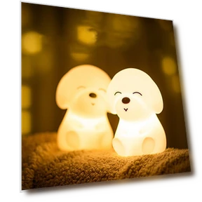Colorful LED Night Light for Dogs — Night Lights, We Satisfied