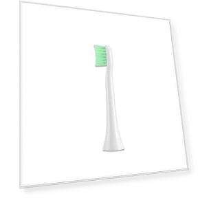 Electric Sonic Toothbrush for Adults — Electric Toothbrush Heads, Light makeup