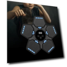 Electronic Boxing Trainer — Boxing Training Gear, Toy Story