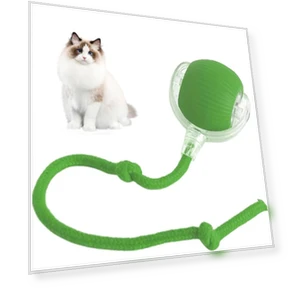 Interactive Rolling Ball Pet Toy — Cat Playthings, Appreciate