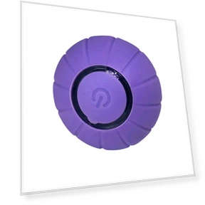 Interactive Smart Toy for Cats — Cat Playthings, Pet Zooo