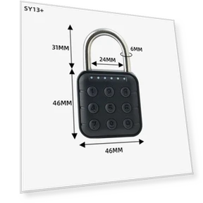 Smart Biometric Fingerprint Lock — Biometric Security, Tuya