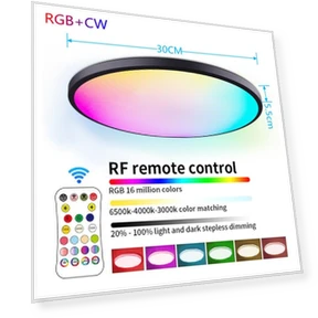 Smart Home Lighting WiFi Remote Control — LED, RuKing