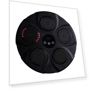 Smart Musical Boxing Wall Target — Agility Training Balls, Binchi Keji Travel