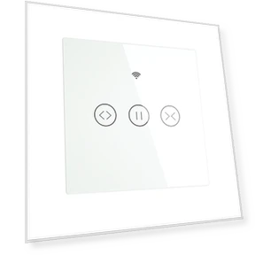Wi-Fi Touch Wall Switch for Curtains — Ceiling Fan Wall Controls, Female accessories