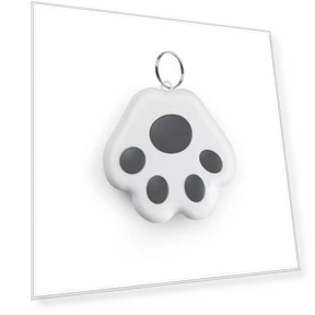 Bluetooth Anti-Loss Smart Keychain — Item Locators, G KE