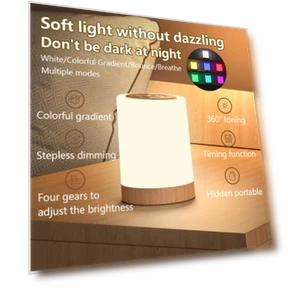 LED Bedside Touch Sensor Light — Lamps & Shades, BABY YOU