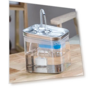 Professional Cat Water Fountain — Pet Hydration Solutions, Cuperay