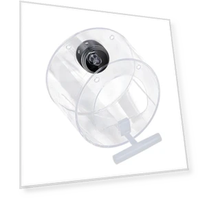 Smart Bird Feeder with Camera — Backyard Birding, Balala