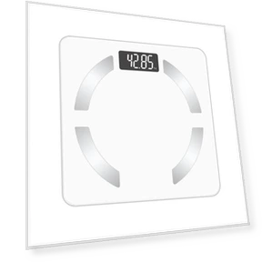 Smart Bluetooth Body Fat Scale — Weight Management Tools, Winter Gloves