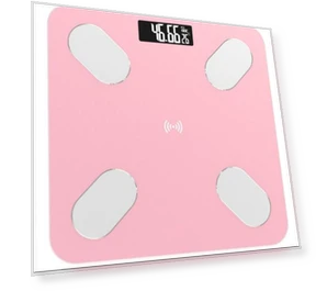 Smart Body Index Scale — Weight Management Tools, Essager Electronic