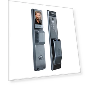 Smart Door Lock with Fingerprint and Face Recognition — Locks, Toys Arts