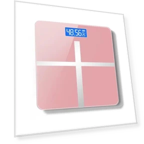 Smart Electronic Health Scale — Weight Management Tools, Factory Discount Outlet