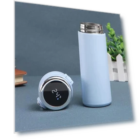 Smart LED Temperature Display Thermos — Travel Drinkware, Binchi Fitness
