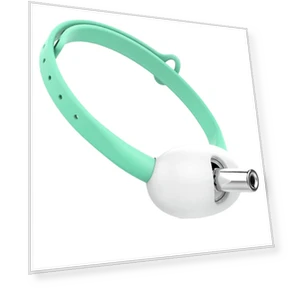 Smart Teasing Collar for Cats — Cat Playthings, Ximalaya
